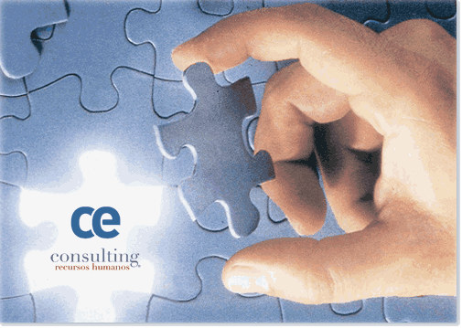 CEConsulting