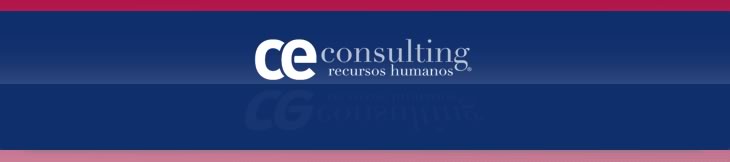 CEConsulting