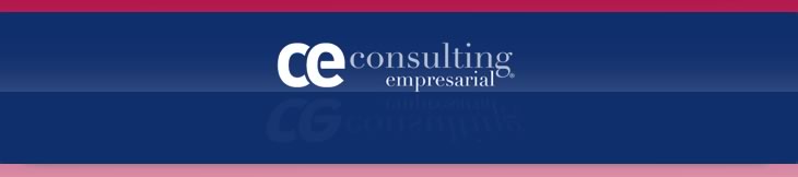 CEConsulting
