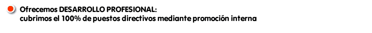 Desarrollo profesional