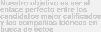 Nuestro objetivo es ser el enlace perfecto entre los candidatos mejor calificados y las compañías idóneas en busca de éstos