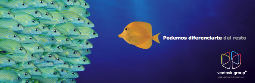 Ventask: podemos diferenciarte del resto