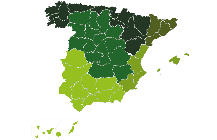 Inicio