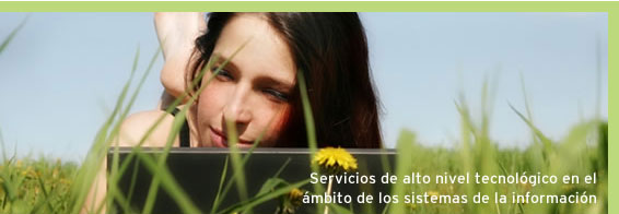 IN2 - Servicios de alto nivel tecnol�gico en el �mbito de los sistemas de la informaci�n